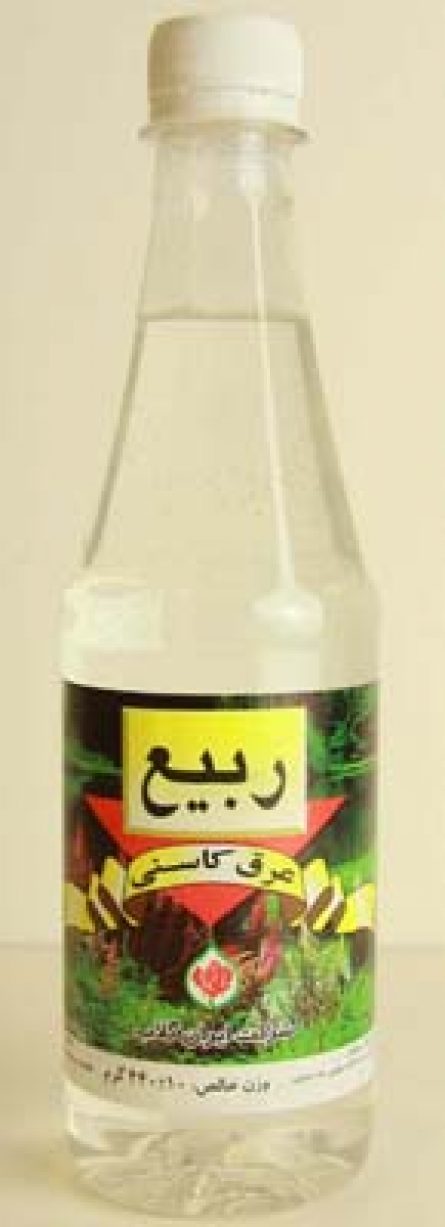 Succory Extract