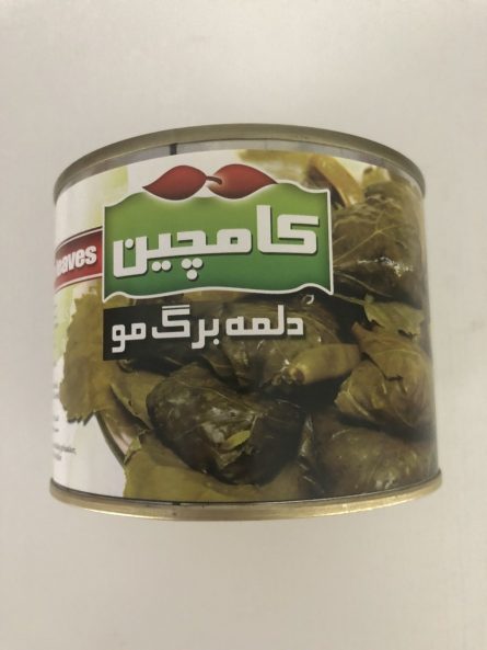 Dolma_Kamchin